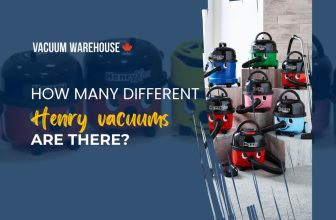 Hoeveel verschillende Henry stofzuigers zijn er?